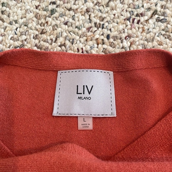 Milano LIV Rust Colored Top With Scattered Sequins. Large - Picture 5 of 7